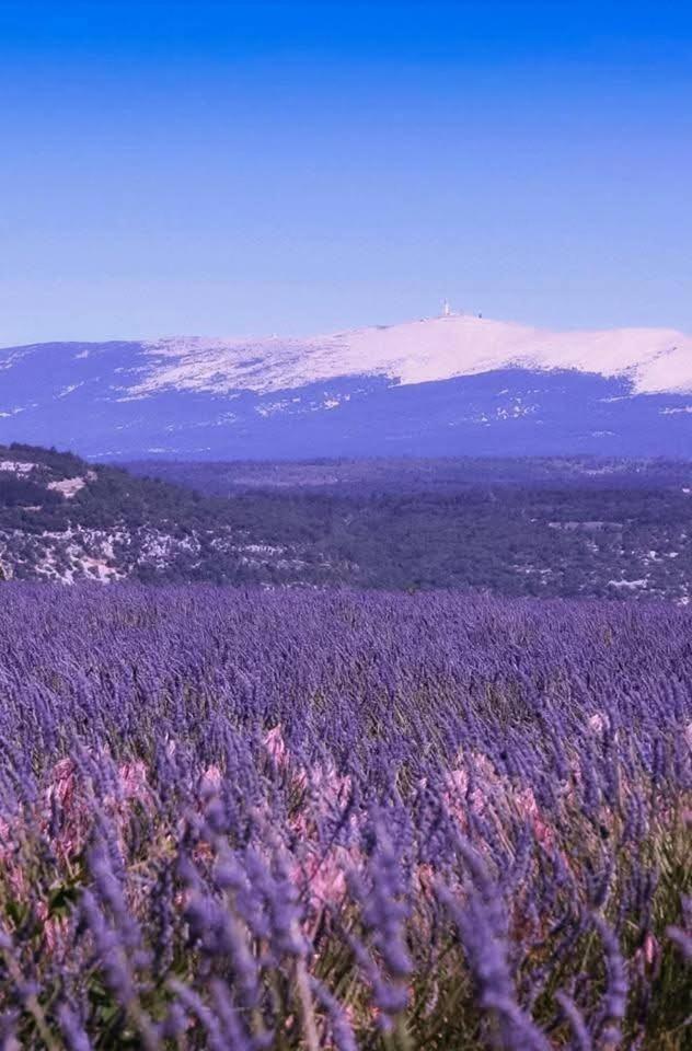 La Fee Viviane Et Michel L'Enchanteur Robion en Luberon Екстериор снимка